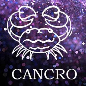 CANCRO web 298x300 1
