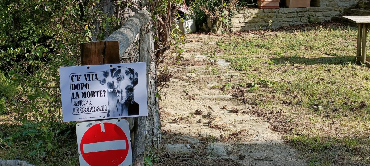 Marche Il Cartello Attenti Al Cane Risponde A Un Quesito Filosofico