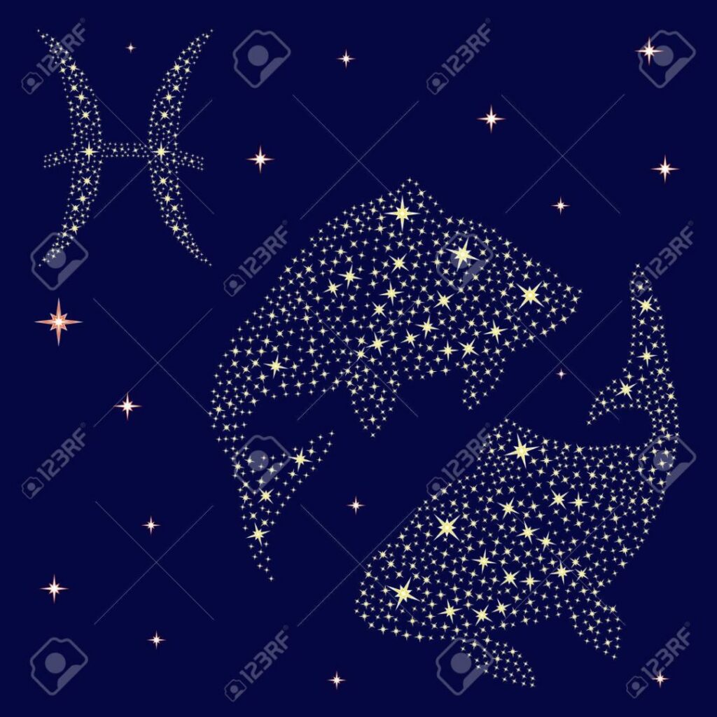 25253027 segno zodiacale pesci su uno sfondo del cielo stellato illustrazione vettoriale