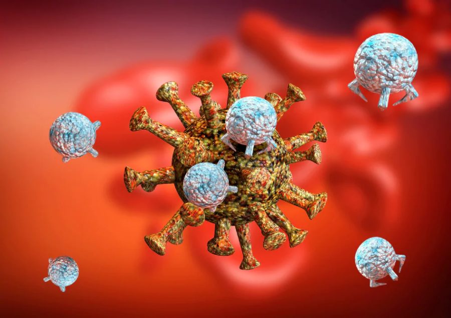 Covid, i guariti dal virus generano anticorpi per il resto della vita: ecco lo studio spagnolo