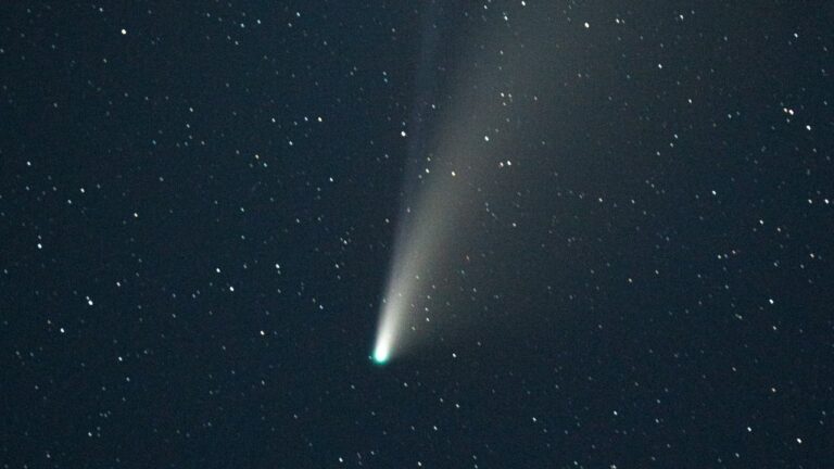 cometa erasmus
