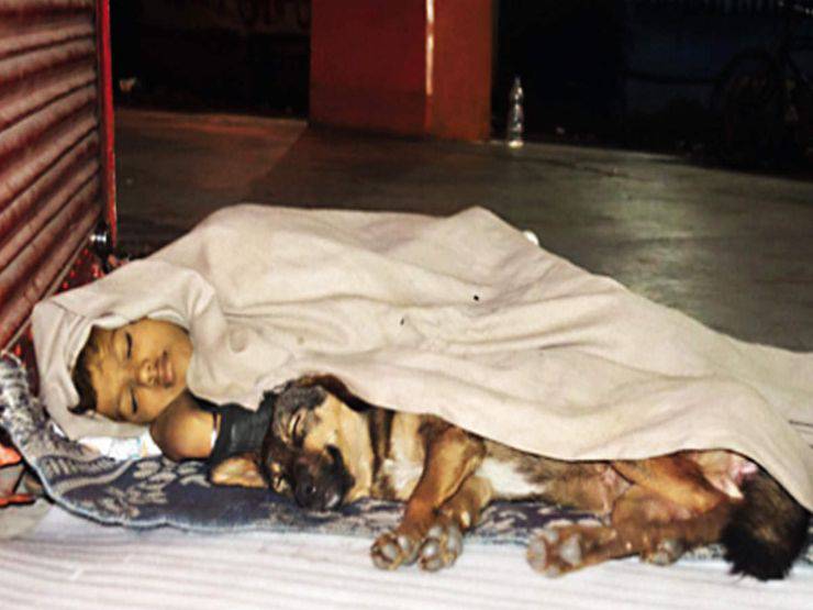Bambino senzatetto dorme abbracciato al cane: la storia dietro la foto