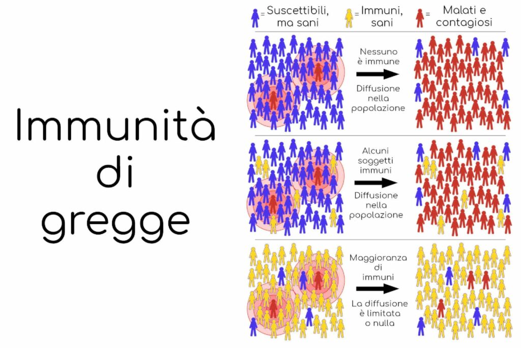 immunita gregge