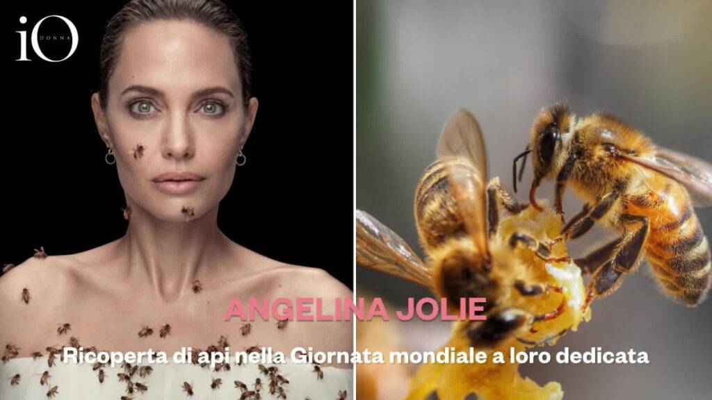 aneglina jolie ricoperta api giornata mondiale