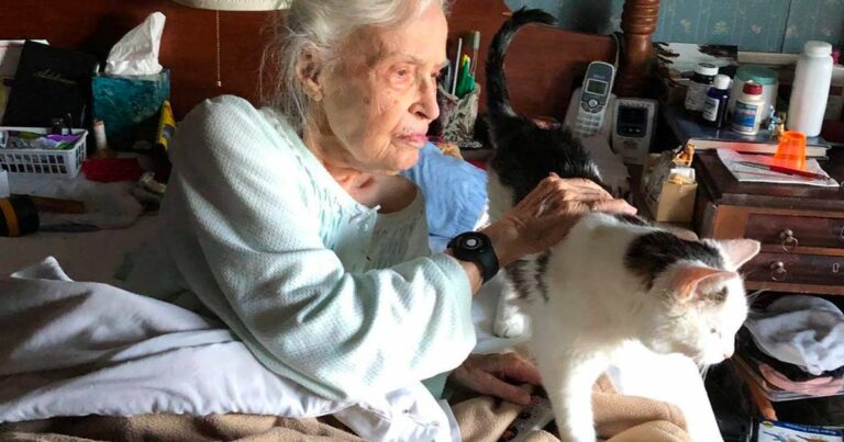 RDS news gus e penny 101 anni gatto 19 anni