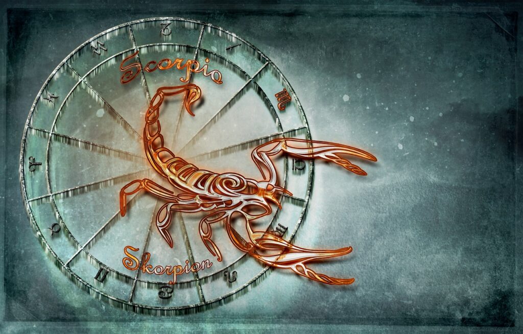 IMMAGINE SCORPIONE