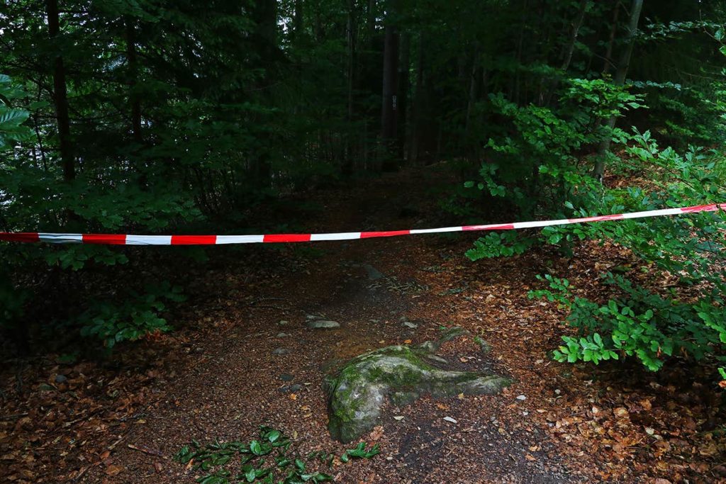 bosco transenna