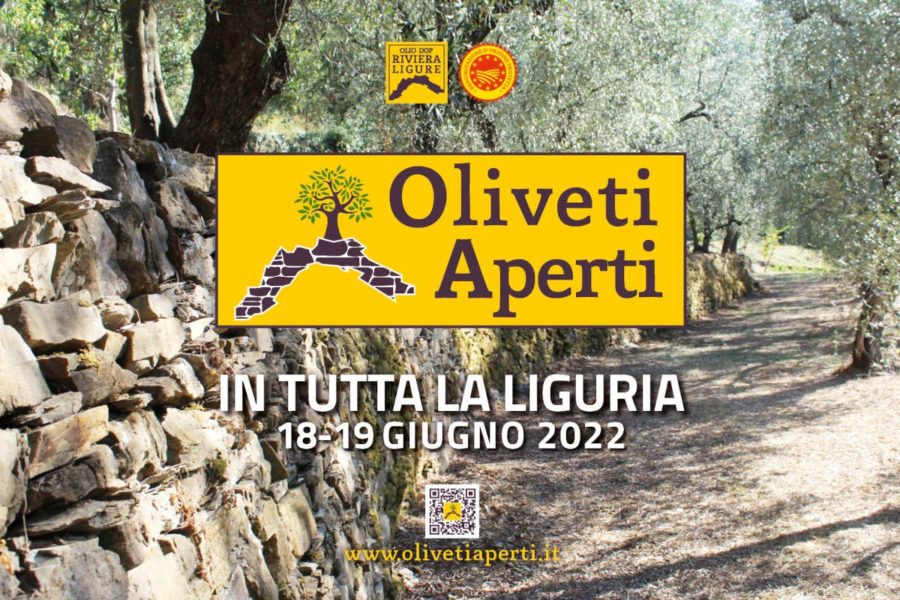 Oliveti Aperti celebra l’olivicoltura eroica della Riviera Ligure
