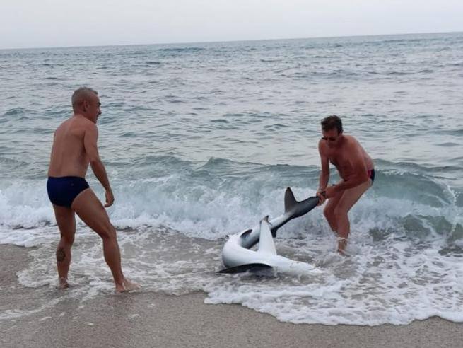 Sardegna, portano lo squalo fuori dal mare per fare selfie: la rabbia degli animalisti