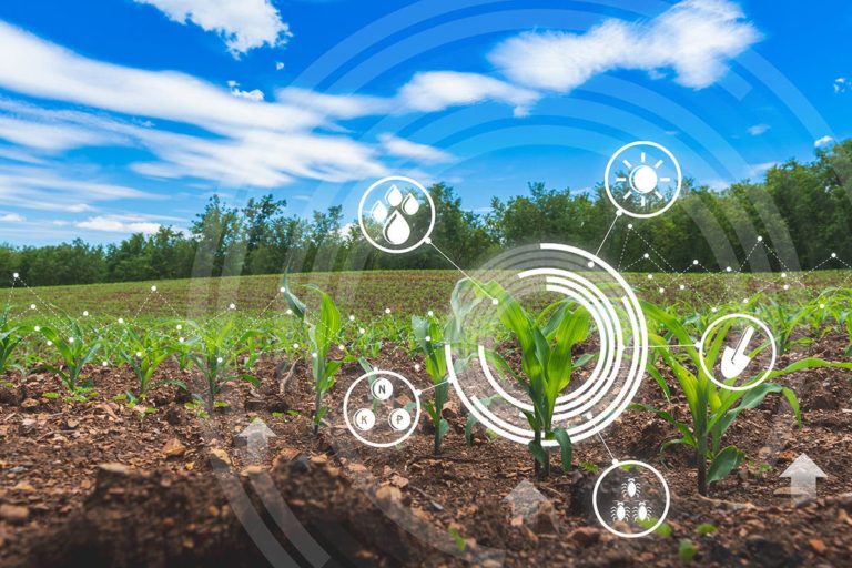 Agricoltura 4 0 tecnologie emergenti obiettivo decarbonizzazione2