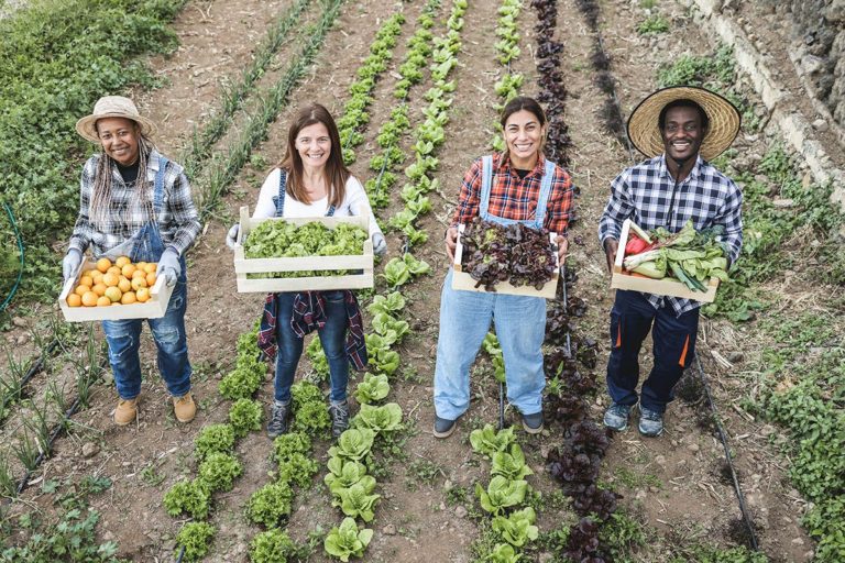 Agricoltura 4 0 tecnologie emergenti obiettivo decarbonizzazione3