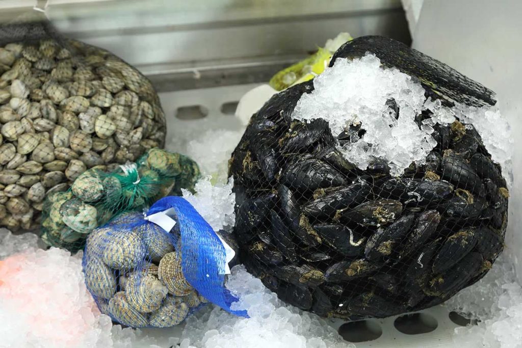 cozze vongole frigo
