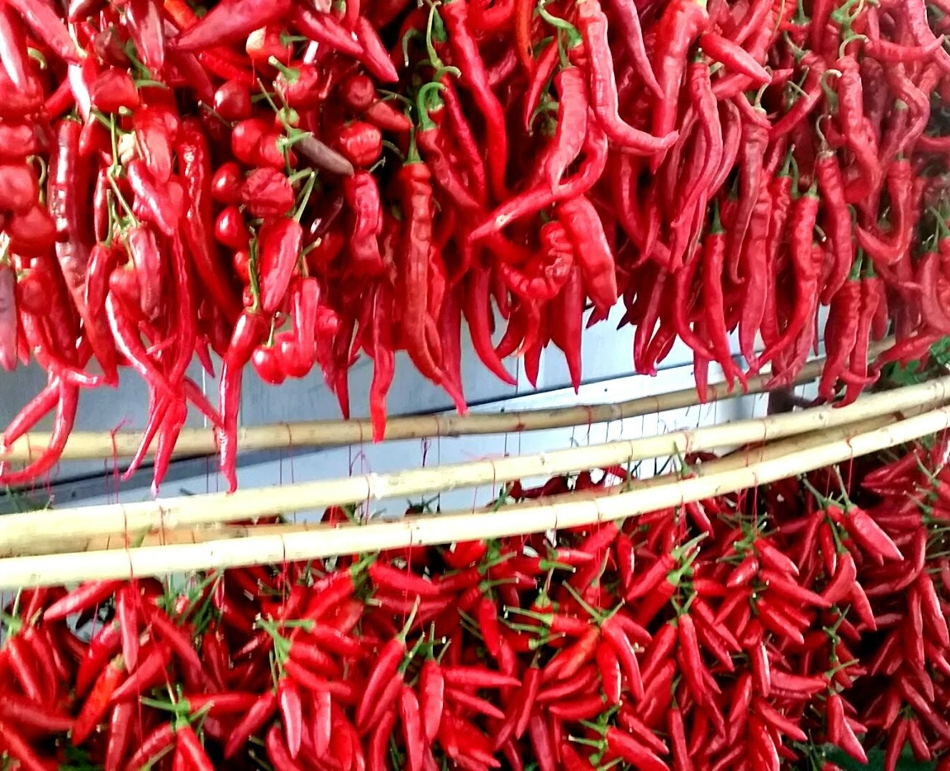 Rieti – La Fiera del peperoncino ritorna in centro. Oltre 150 stand e 500 varietà da tutto il mondo