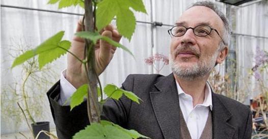 Stefano Mancuso: «Le piante sotto stress stanno diventando più piccole»