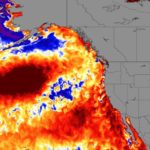 Nuova bolla di caldo oceanica (MHW)