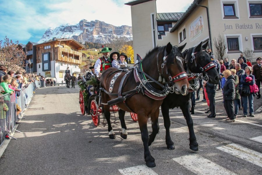 Alta20Badia CavalcataSanLeonardoreddyplaninschek