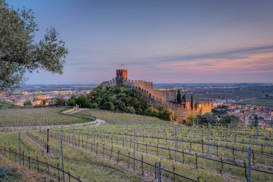 soave verona