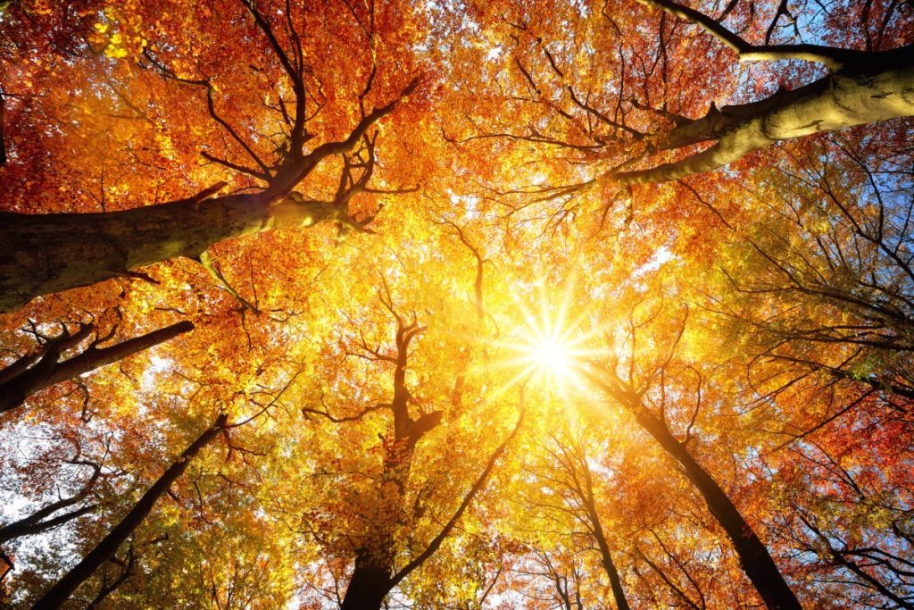 autunno sole