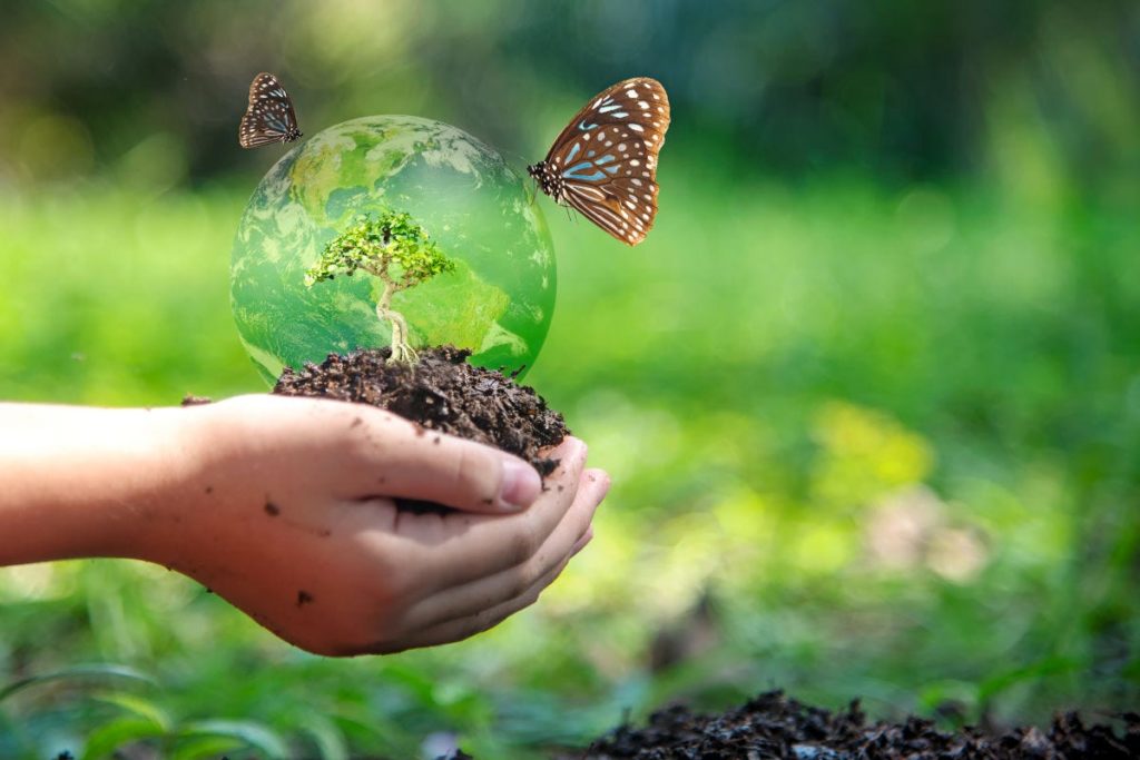 biodiversita 1