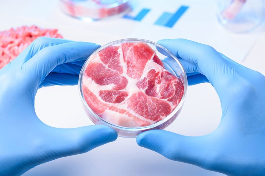 carne sintetica provetta laboratorio
