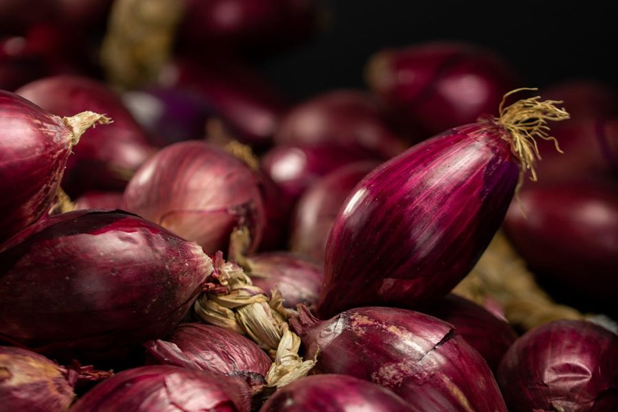 cipolla rossa tropea calabria igp conserve autunno1