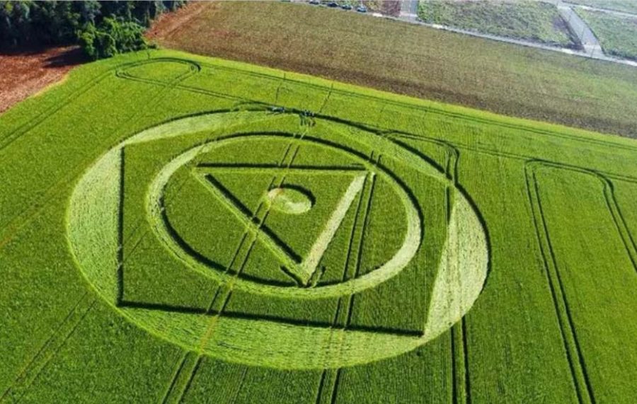 crop circle brasil1