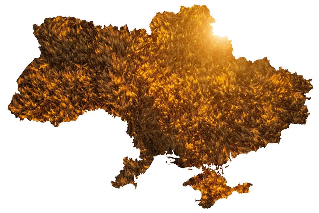 grano ucraina 1