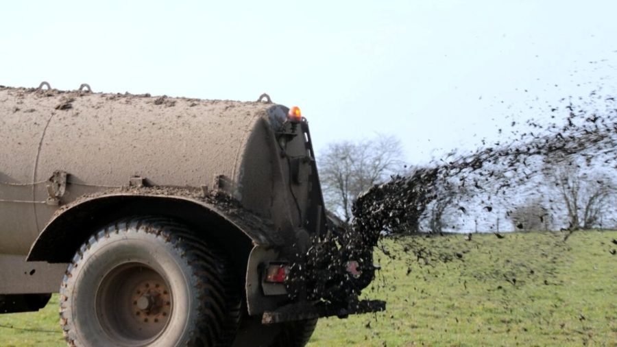 letame pixabay fertilizzanti 2