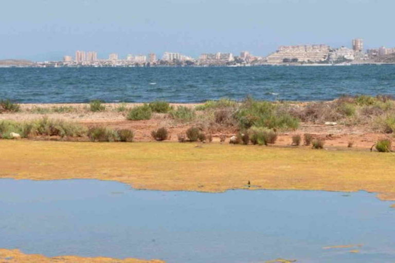 mar menor persona giuridica