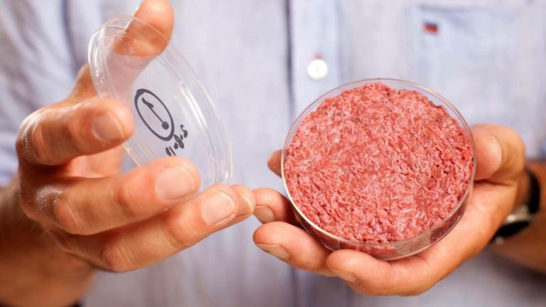 mosa meat carne vitro laboratorio 2