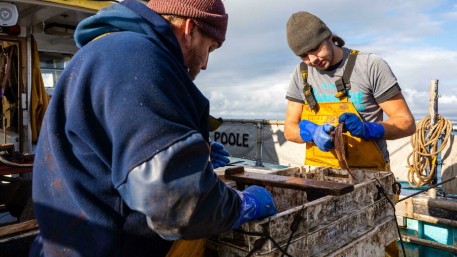 pesca pescatori 3