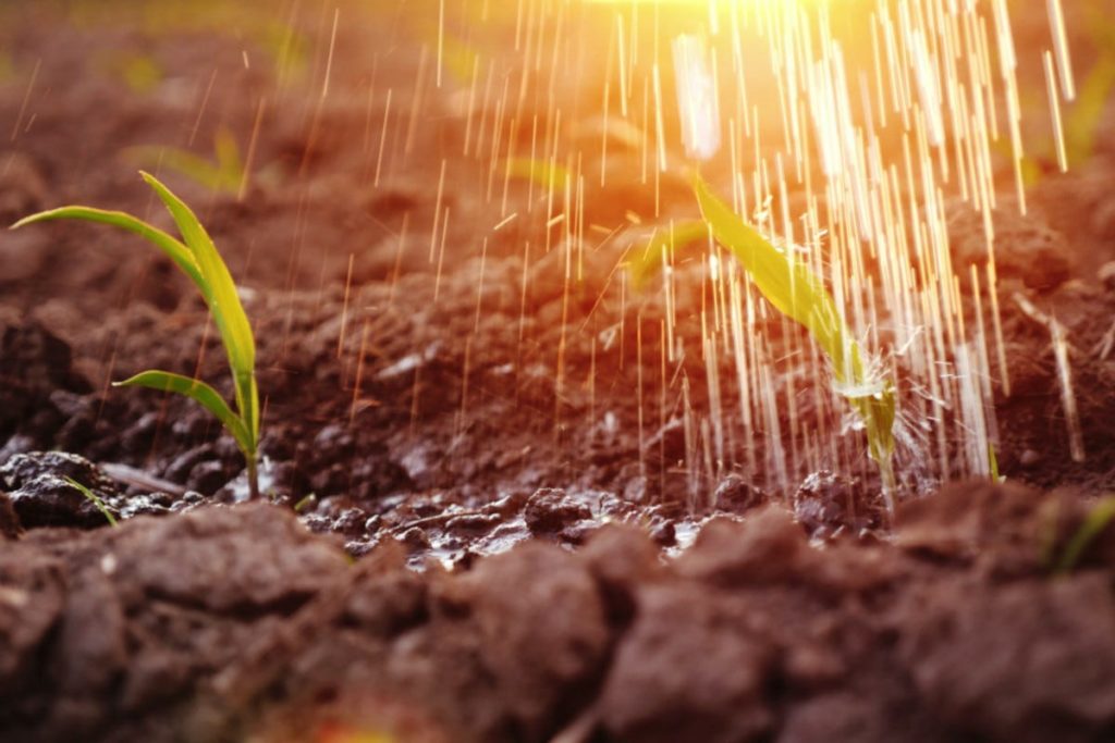 pioggia terreno agricoltura
