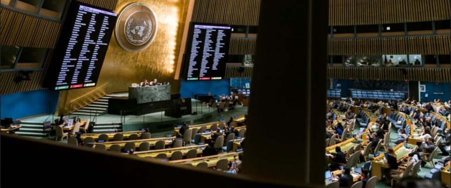 Assemblea generale delle Nazioni Unite Ansa