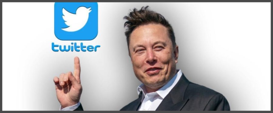 Elon Musk, sondaggio su Twitter per decidere il ripristino dell’account di Donald Trump 1 Elon Musk 2