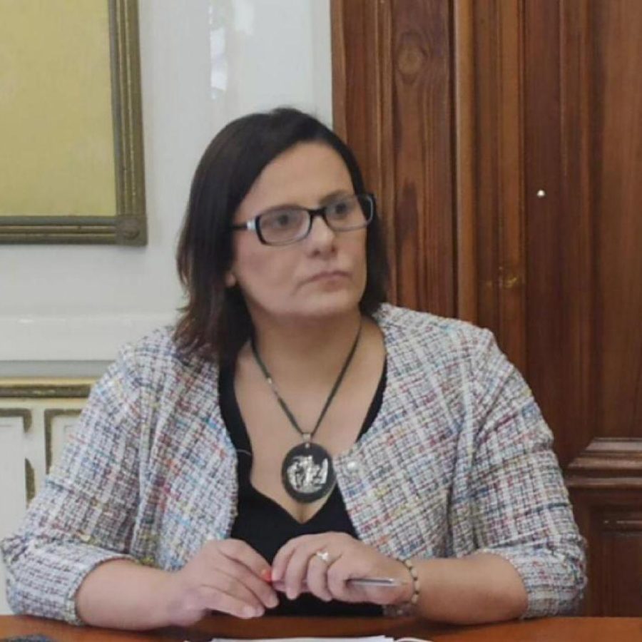 Reggio Calabria, crolla controsoffitto di una scuola: la risposta dell’assessore Nucera 1 IMG 20210430 140130 488 1