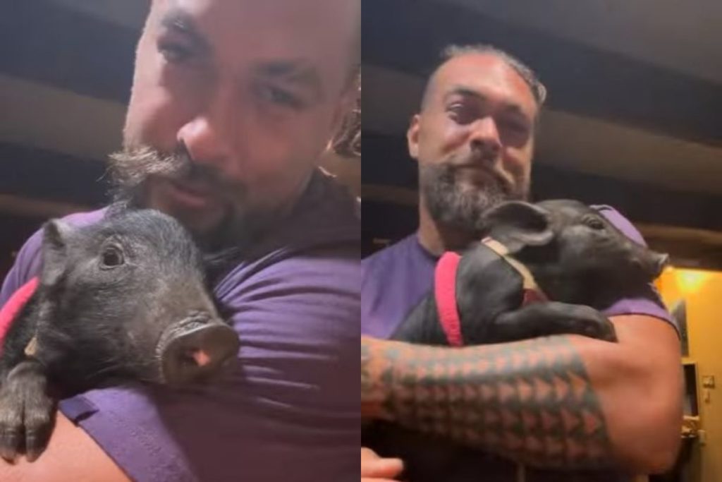 Momoa