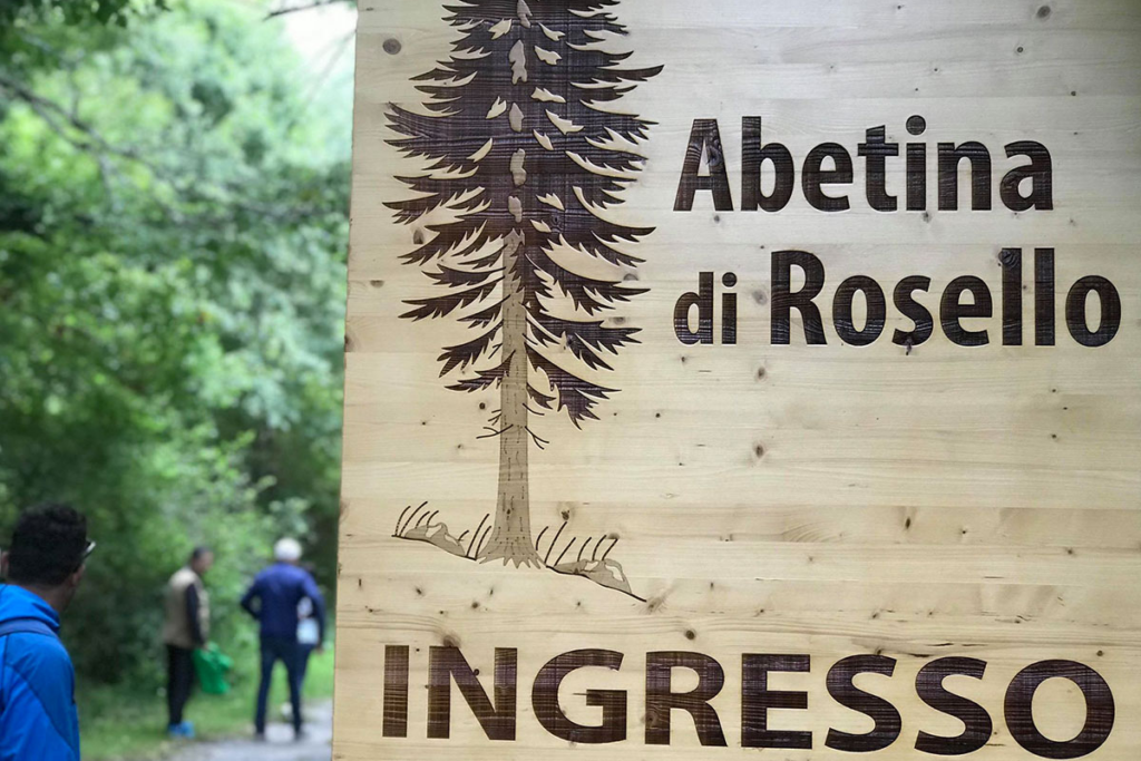 Progetto senza titolo 72
