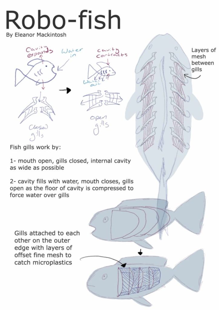 Robo fish scaled 1