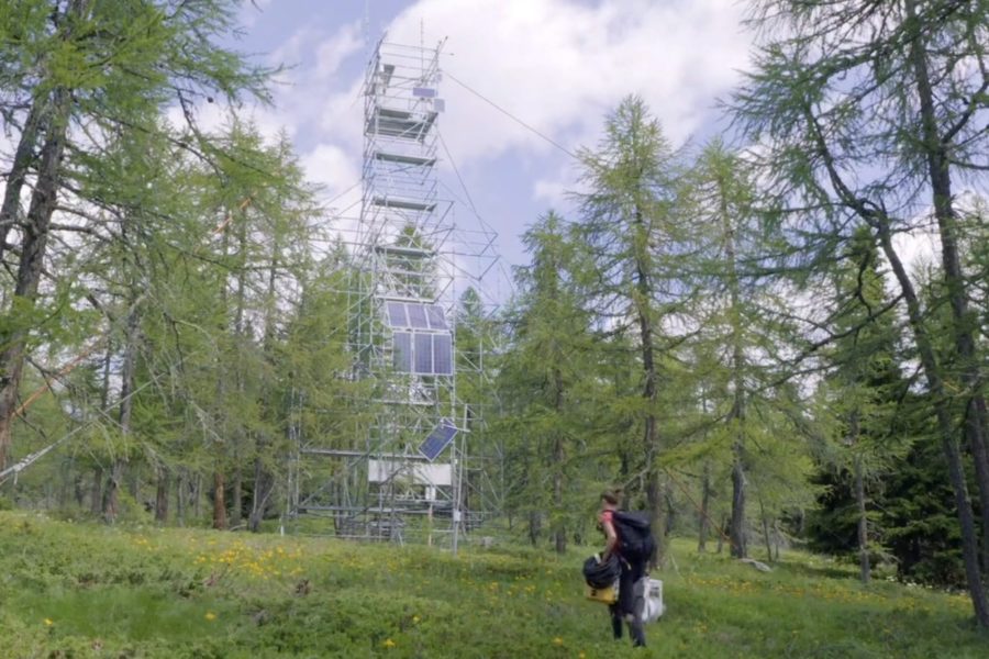 Collaboratori tecnici ad Arpa e Oss, le chiamate pubbliche della settimana 1 Sito Torgnon Foto BabyDocFilm