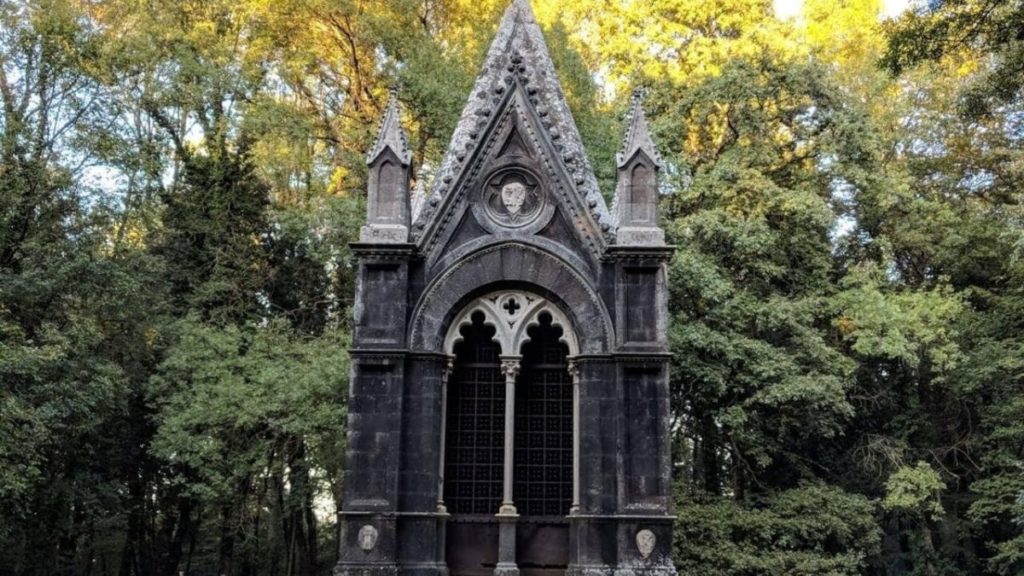 acquapendente bosco del sasseto a torre alfina