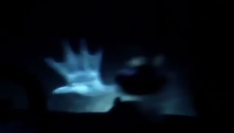 Il fotografo del National Geographic ammette di aver incontrato strani esseri alieni sottomarini