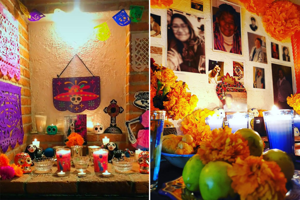 animali dia muertos messico