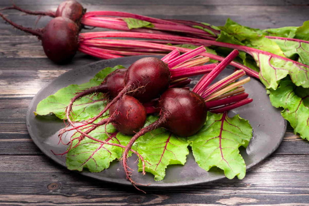 barbabietola rossa