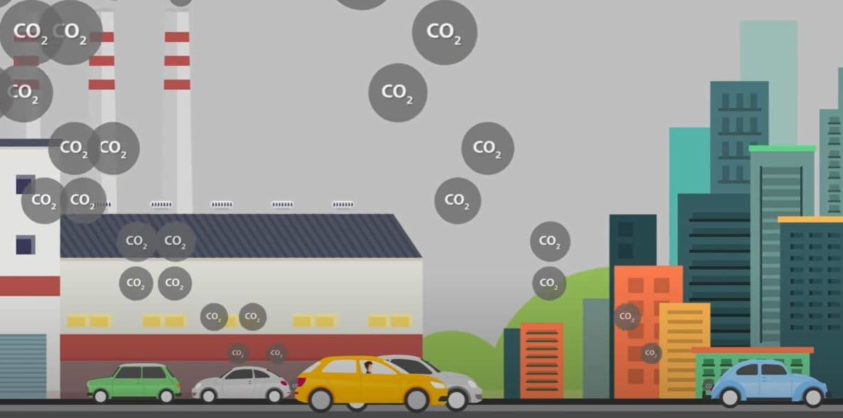 Green economy: le startup che risolvono i problemi dei carbon credits