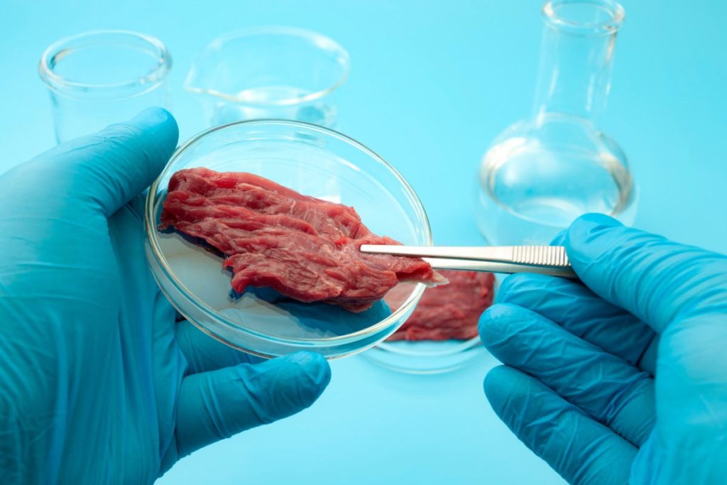 carne sintetica laboratorio