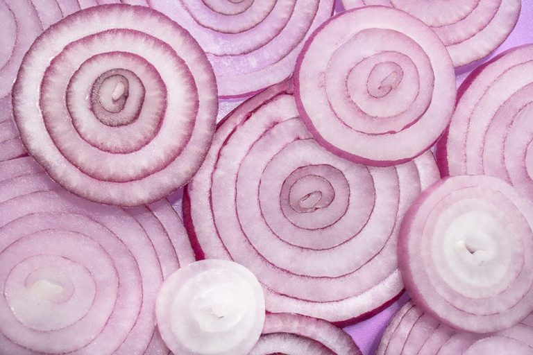 cipolla tropea igp rings close up of sliced red onion