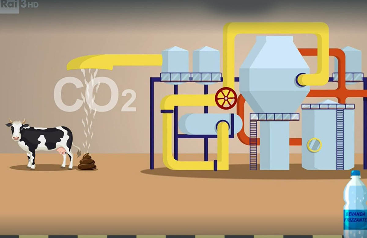 Cosa c’entra la CO2 delle bibite gassate con gli allevamenti di mucche?