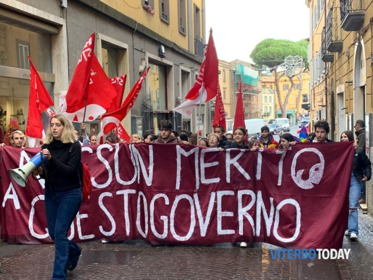 corteo degli studenti