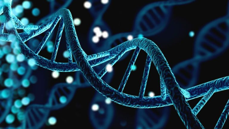 dna 1 scaled 1 1024x576 1