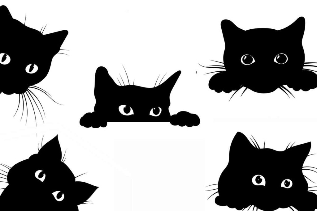 gatti test